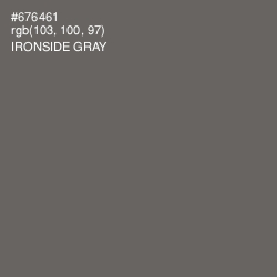 #676461 - Ironside Gray Color Image